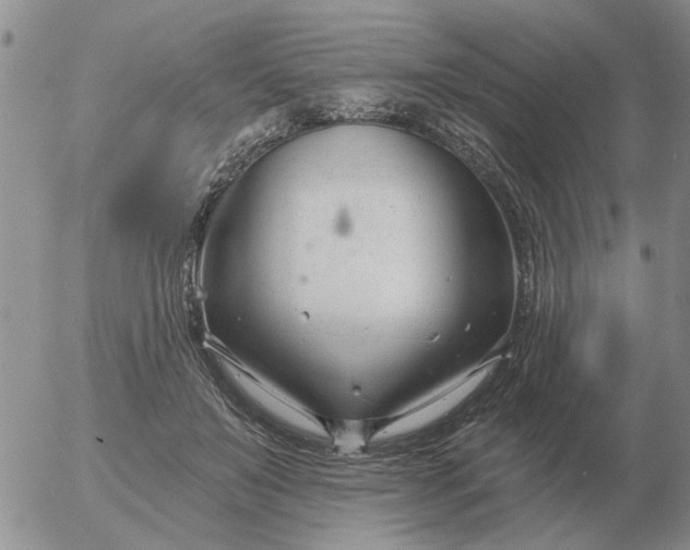 X0000055520503200509022127