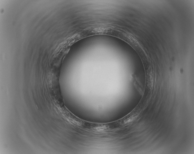 X0000055520505200509022127