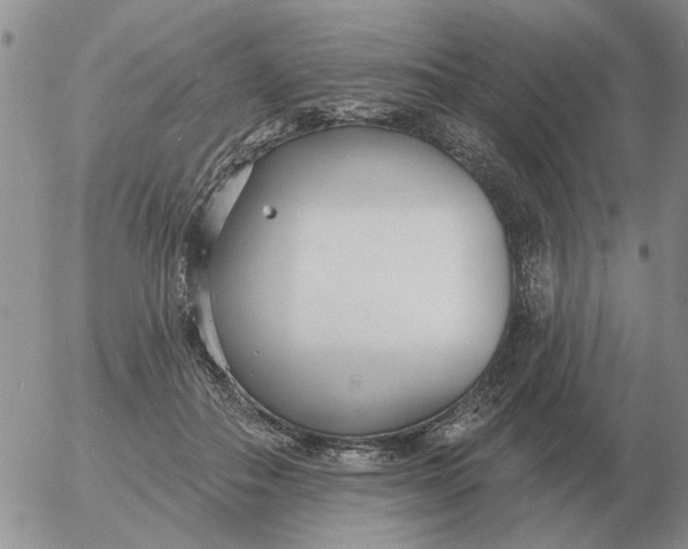 X0000055520506200509022127