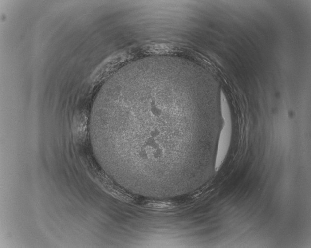 X0000055520507200509022127