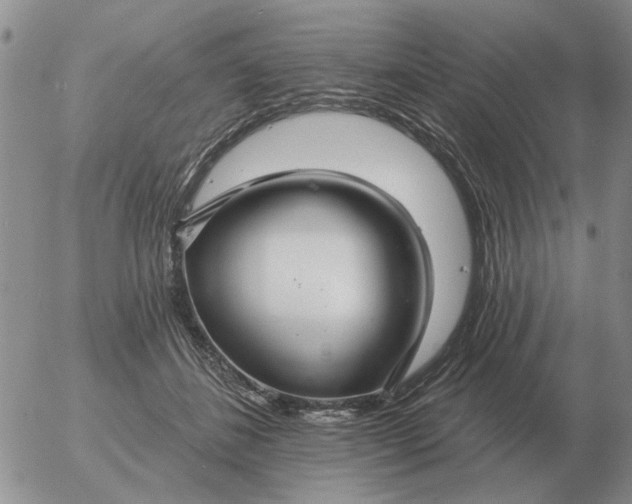 X0000055520508200509022127