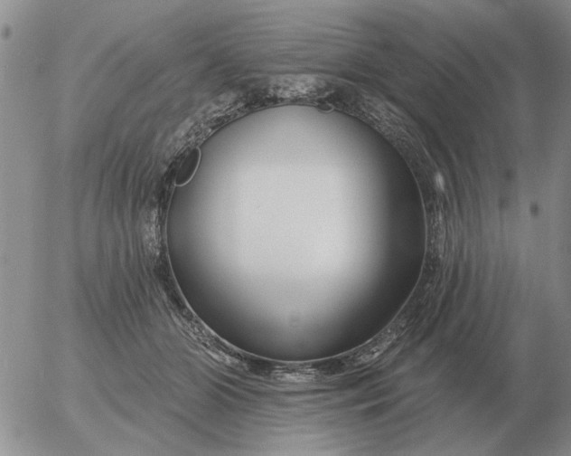 X0000055520510200509022127