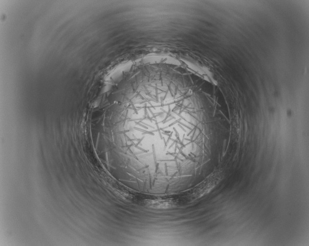 X0000055520511200509022127