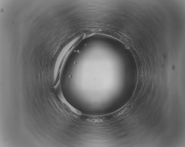 X0000055520512200509022127