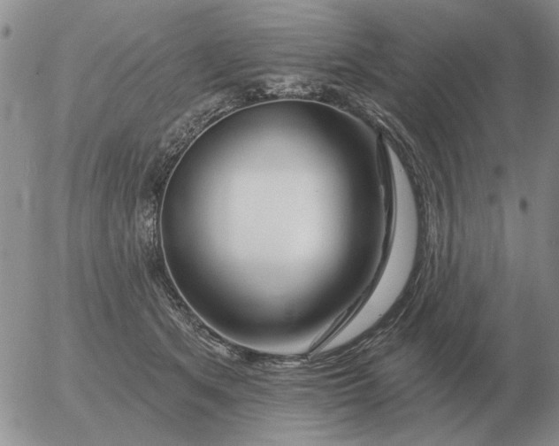 X0000055520513200509022127