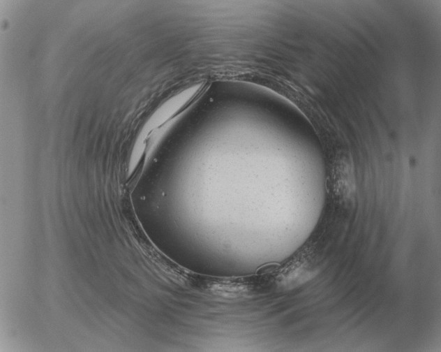 X0000055520515200509022127