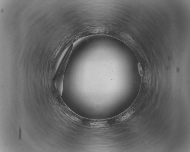 X0000055520516200509022127