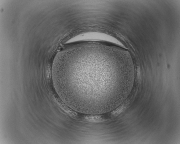 X0000055520517200509022127