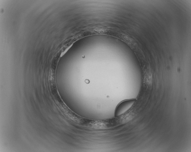 X0000055520518200509022127