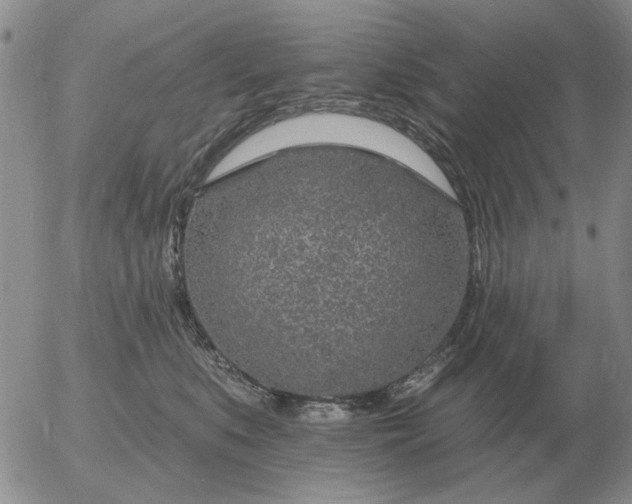 X0000055520519200509022127