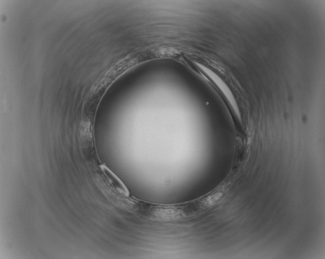 X0000055520521200509022127