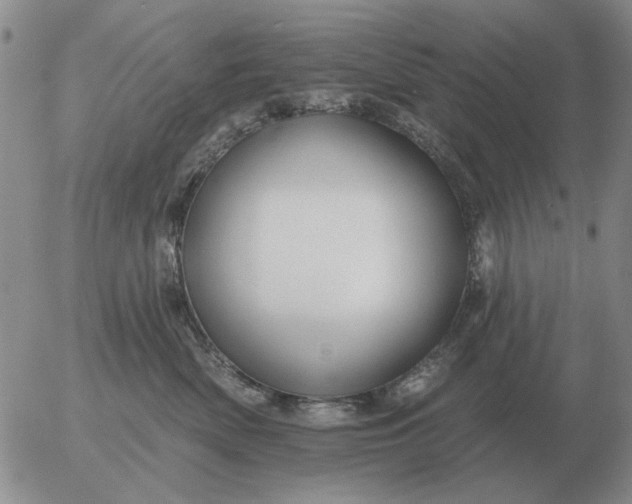 X0000055520522200509022127