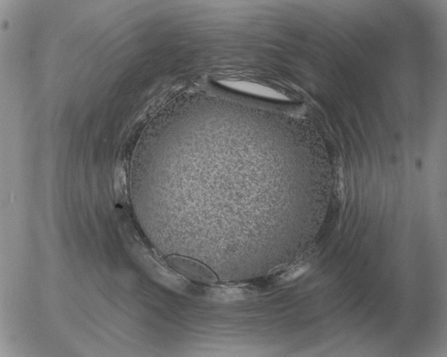 X0000055520523200509022127