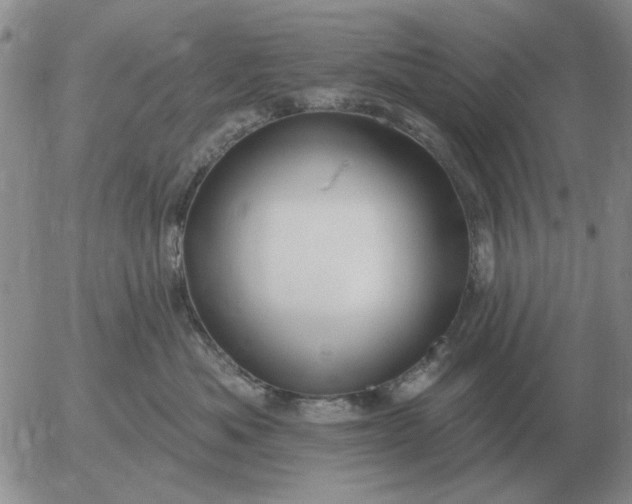 X0000055520525200509022127