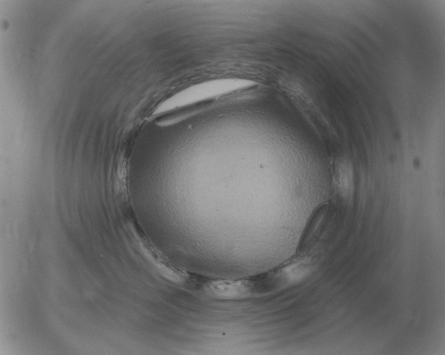 X0000055520526200509022127