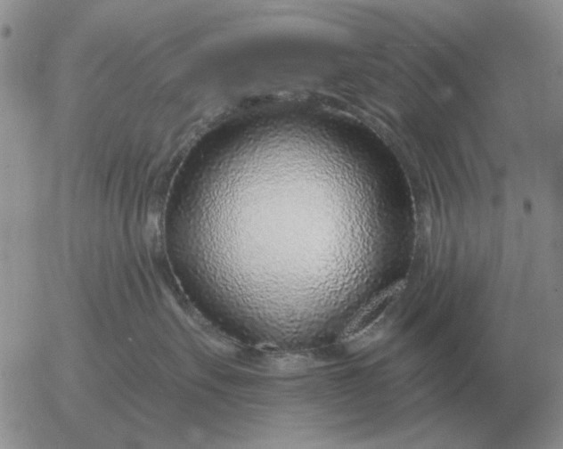 X0000055520527200509022127