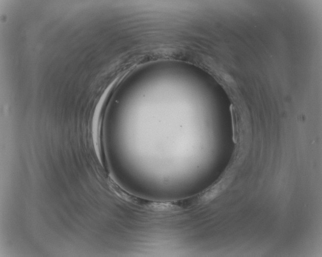 X0000055520528200509022127