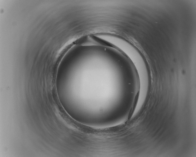 X0000055520530200509022126