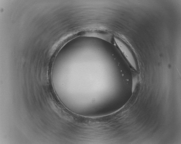 X0000055520531200509022126