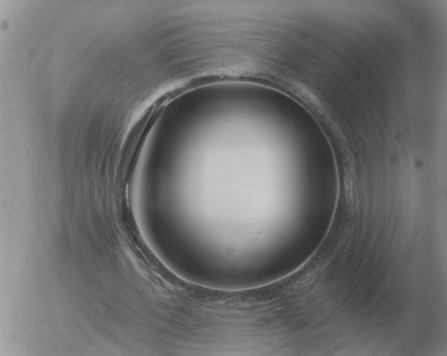 X0000055520532200509022126