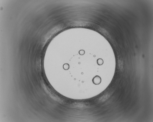 X0000055520534200509022126