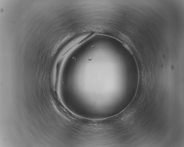 X0000055520538200509022126