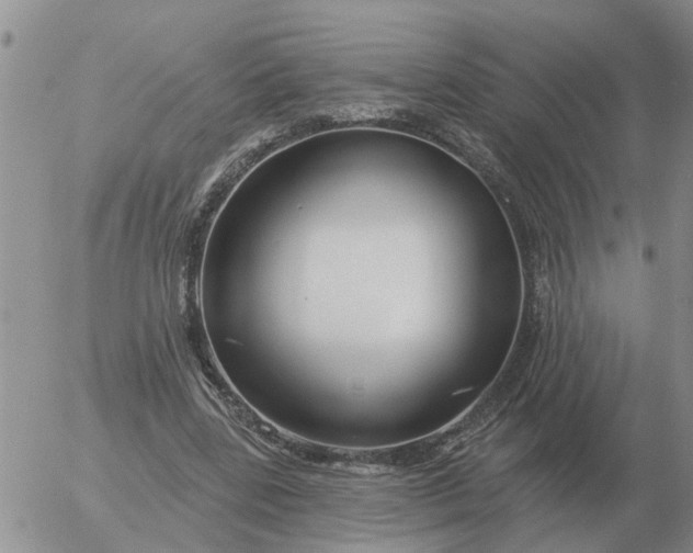 X0000055520539200509022126