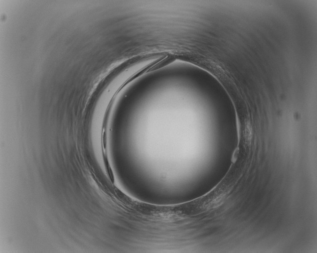 X0000055520540200509022126