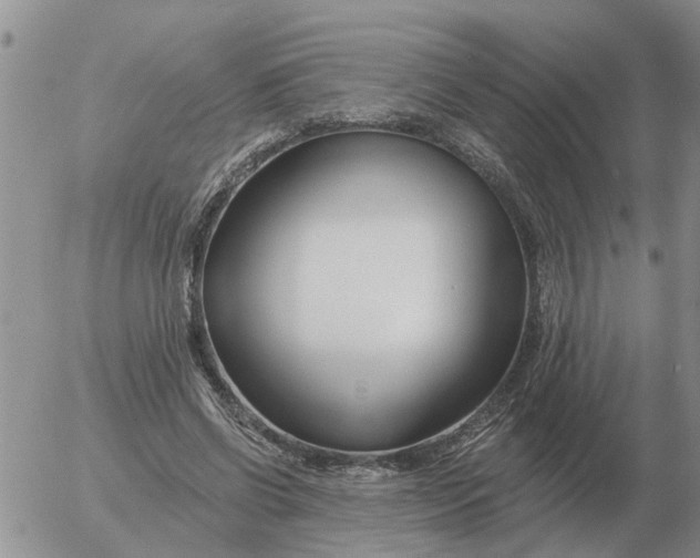 X0000055520542200509022126