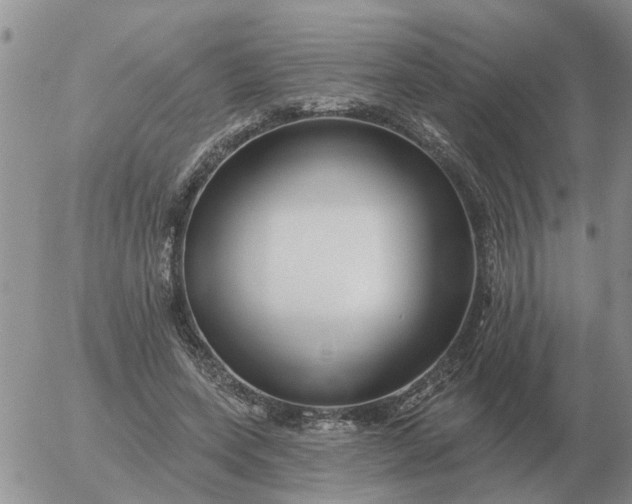 X0000055520543200509022126