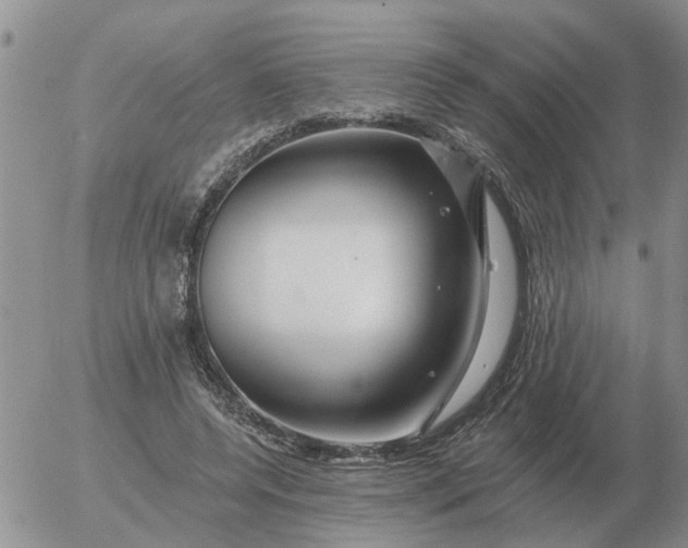 X0000055520544200509022126