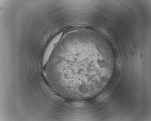 X0000055520545200509022126