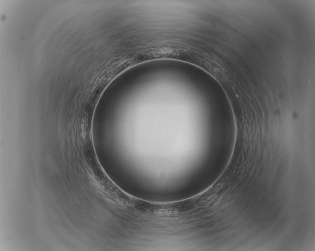 X0000055520546200509022126