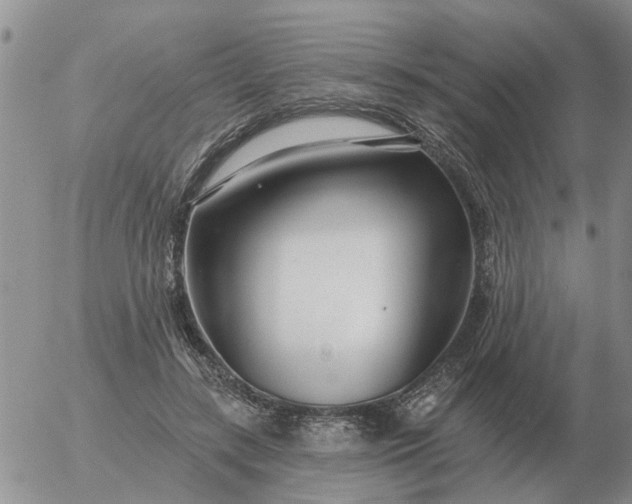 X0000055520547200509022126