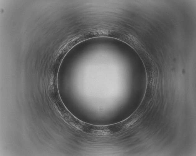 X0000055520548200509022126