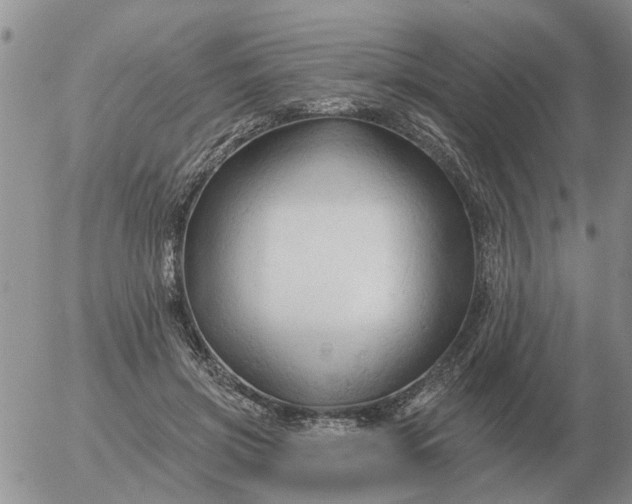 X0000055520549200509022126