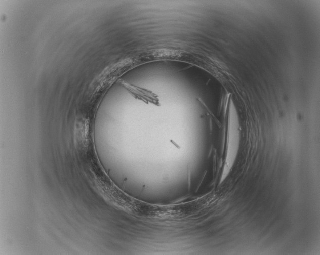 X0000055520550200509022126