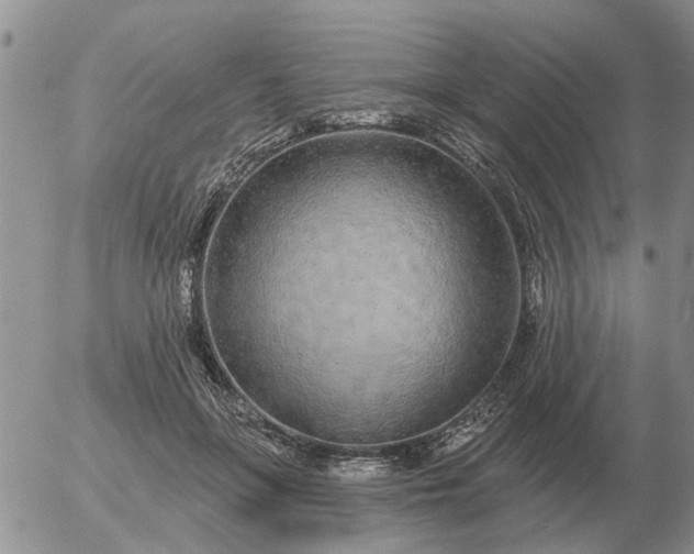 X0000055520551200509022126