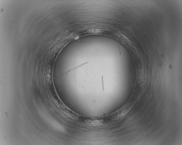 X0000055520553200509022126