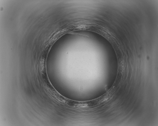 X0000055520554200509022126