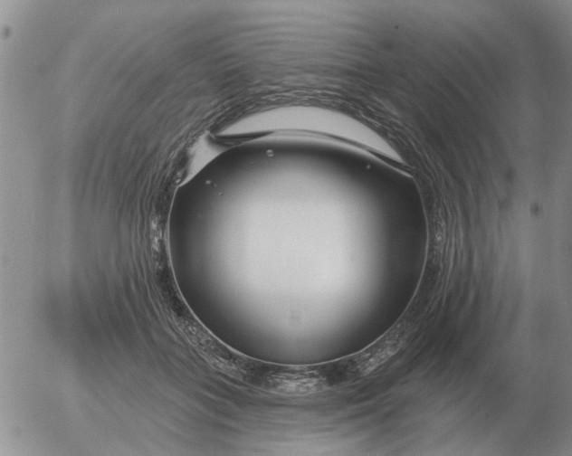 X0000055520555200509022126