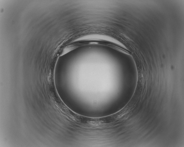 X0000055520556200509022126