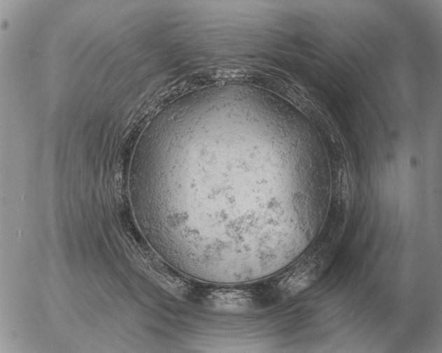 X0000055520557200509022126