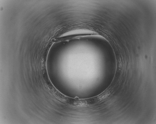 X0000055520559200509022126