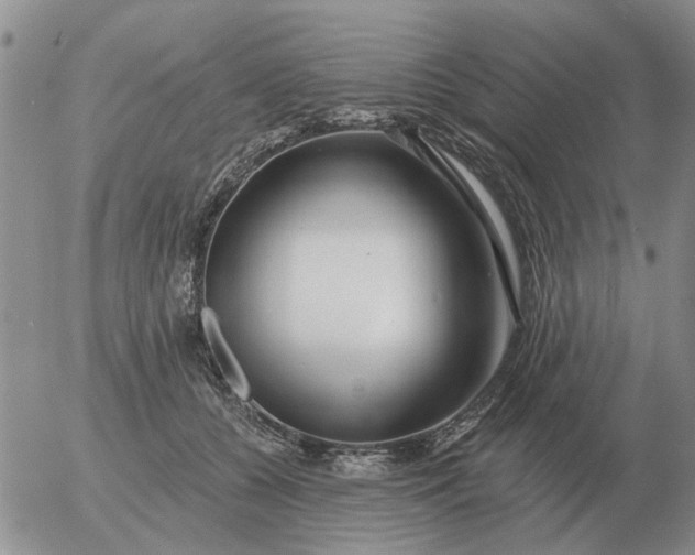 X0000055520560200509022126