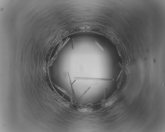 X0000055520561200509022126