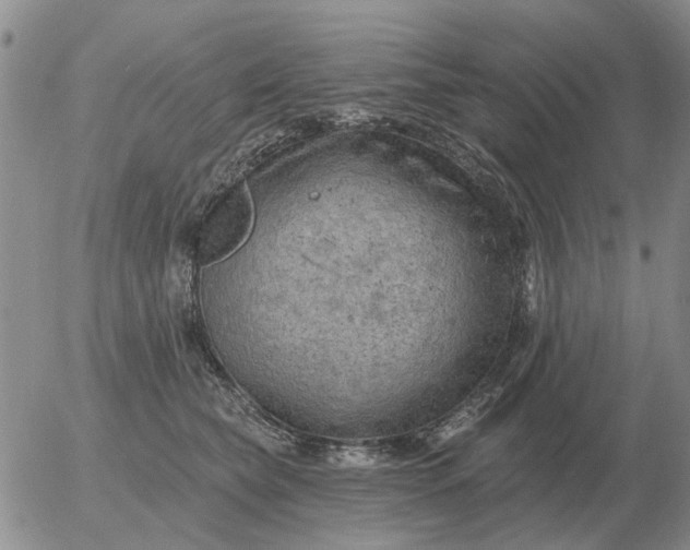 X0000055520565200509022127