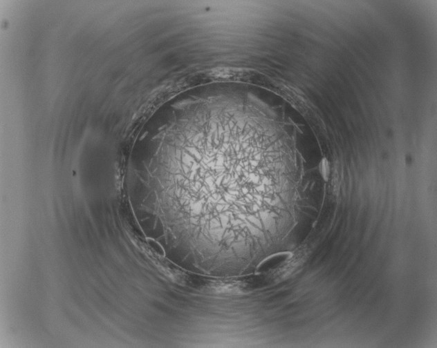 X0000055520569200509022127