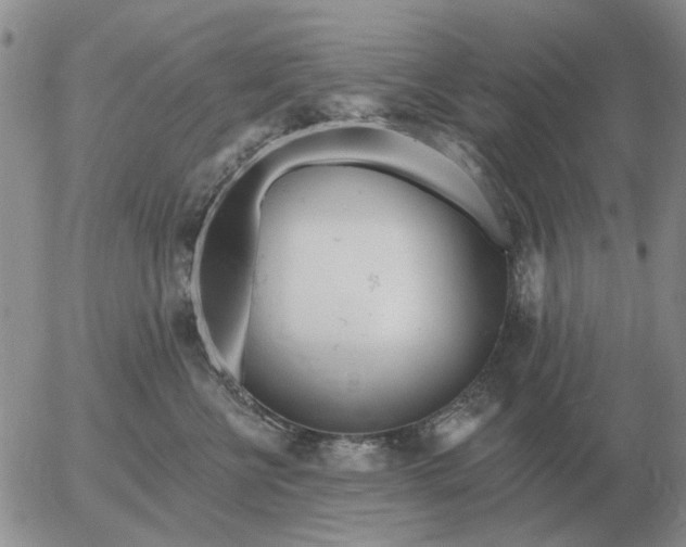 X0000055520570200509022127