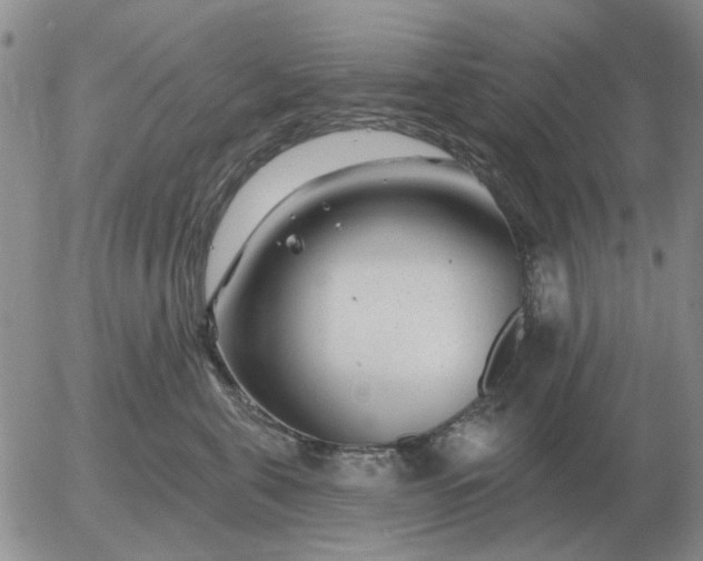 X0000055520571200509022127